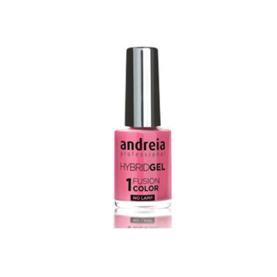 ANDREIA Hybrid Gel Fusion Color H67 10,5ml