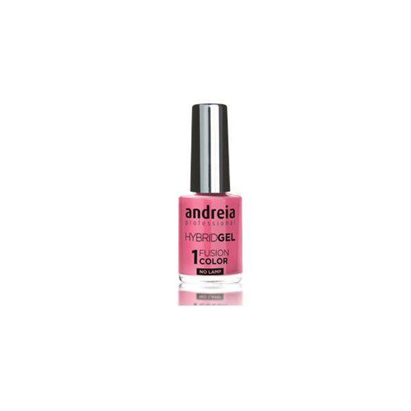 ANDREIA Hybrid Gel Fusion Color H67 10,5ml