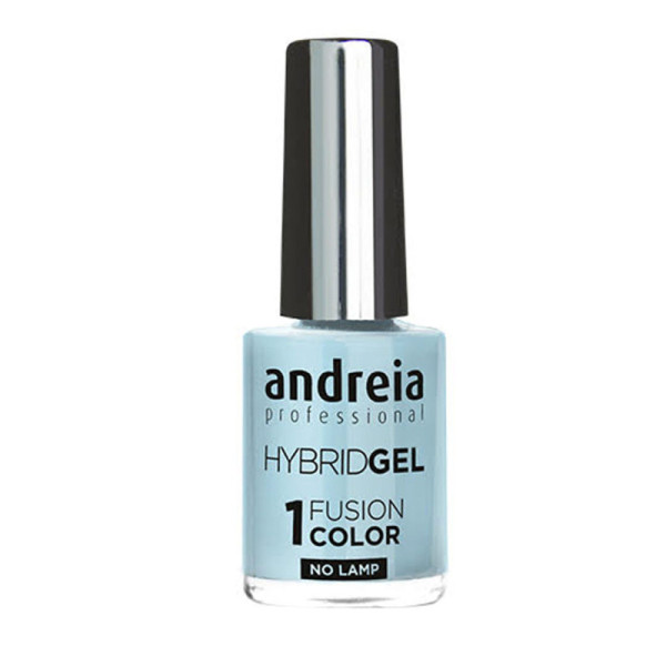 ANDREIA Hybrid Gel Fusion Color H69 10,5ml