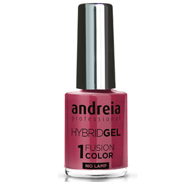 ANDREIA Hybrid Gel Fusion Color H21 10,5ml