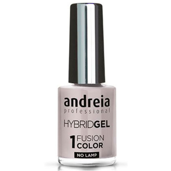 ANDREIA Hybrid Gel Fusion Color H6 10,5ml