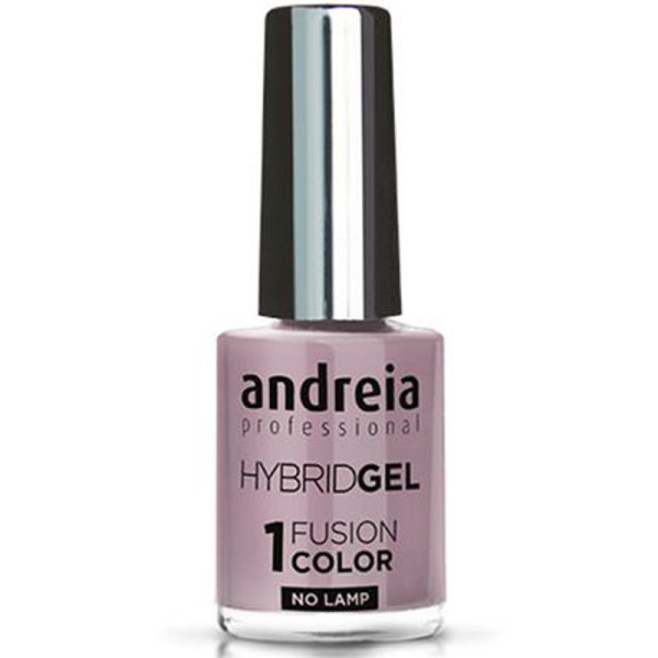 ANDREIA Hybrid Gel Fusion Color H13 10,5ml