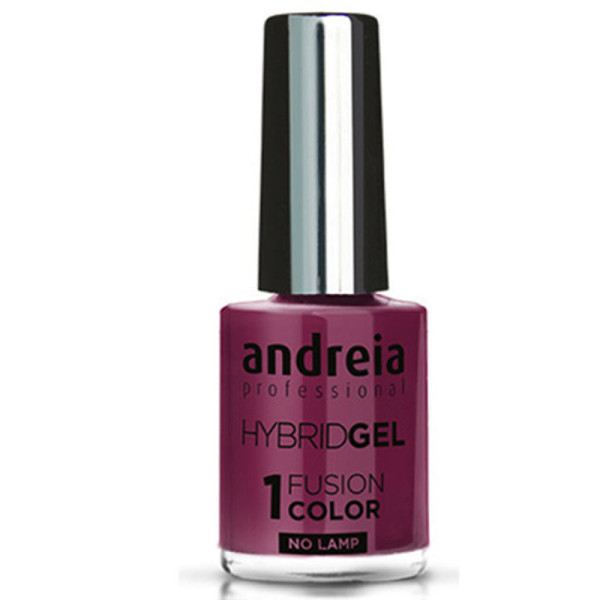 ANDREIA Hybrid Gel Fusion Color H22 10,5ml