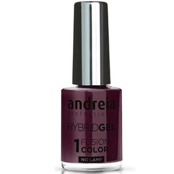 ANDREIA Hybrid Gel Fusion Color H24 10,5ml