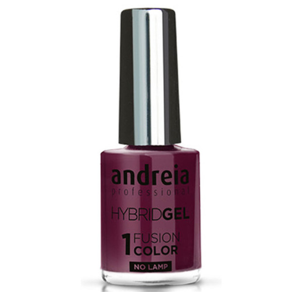 ANDREIA Hybrid Gel Fusion Color H30 10,5ml
