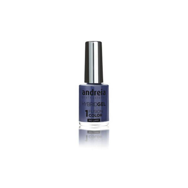ANDREIA Hybrid Gel Fusion Color H71 10,5ml
