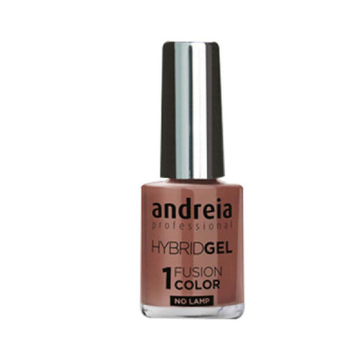 ANDREIA Hybrid Gel Fusion Color H77 10,5ml